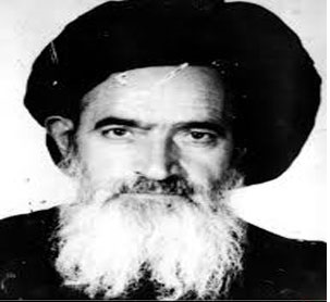 پرونده:سیدمهدی غضنفری.jpg