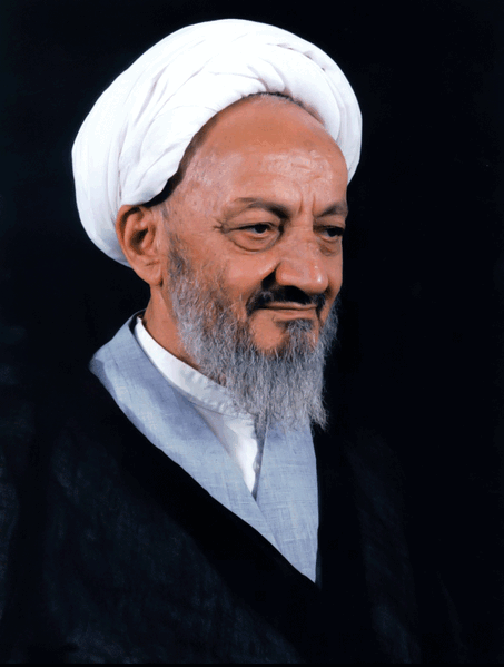 پرونده:علی احمدی میانجی.gif